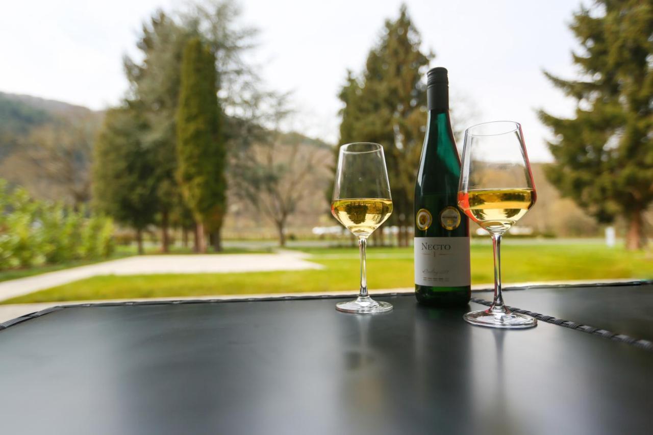 Rieslingresidenz Διαμέρισμα Traben-Trarbach Εξωτερικό φωτογραφία